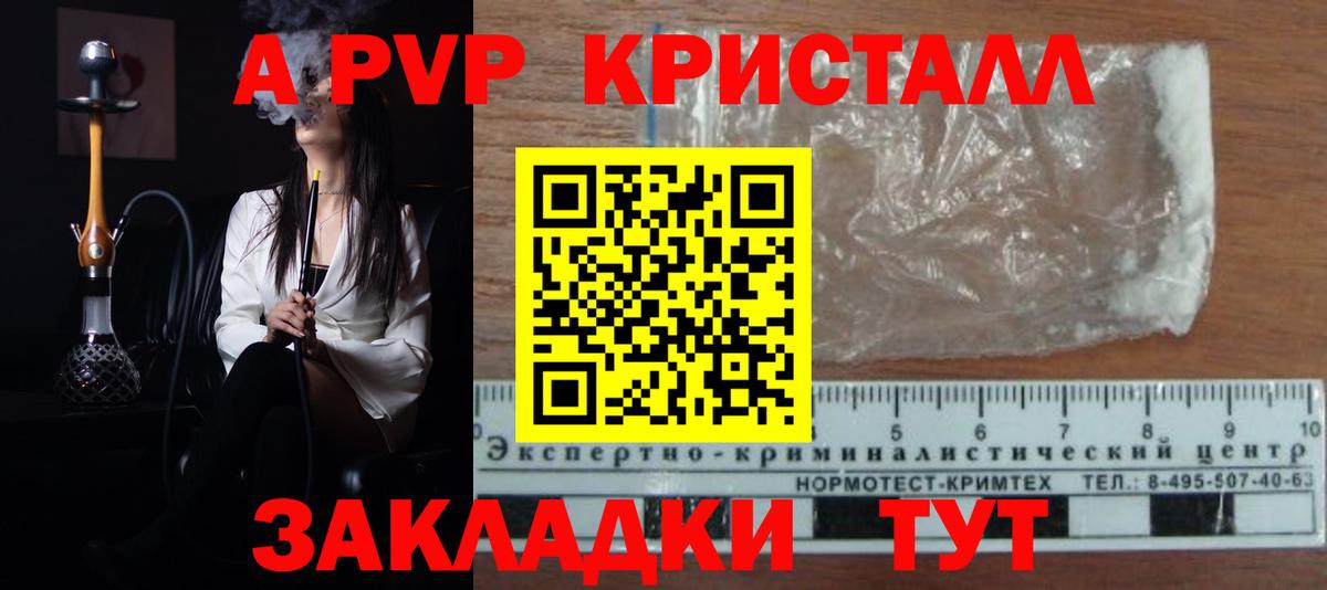 A-PVP СК КРИС Лесосибирск