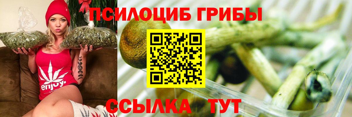 Лесосибирск  Псилоцибиновые грибы Psilocybe  Вход с VPN 